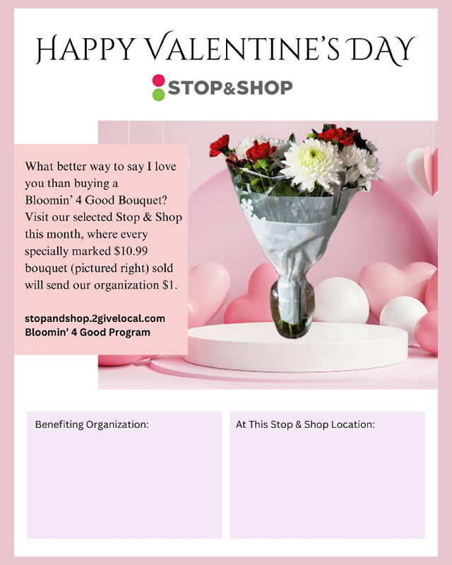 Stop and shop valentines